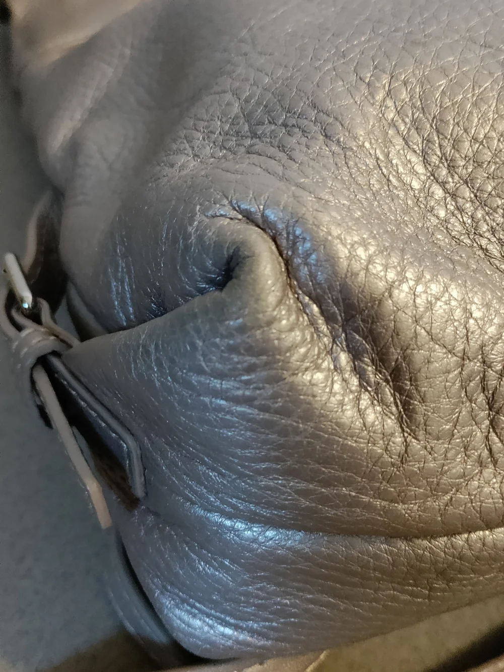 Dooney & Bourke brand dooney